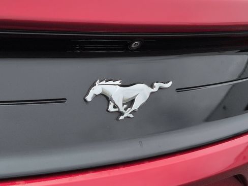 Used 2021 Ford Mustang Coupe RWD image 30