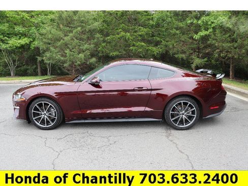 Used 2018 Ford Mustang Premium w/ Equipment Group 201A RWD image 4
