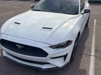 Used 2019 Ford Mustang Premium