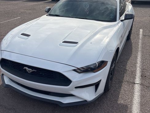 Used 2019 Ford Mustang Premium image 1