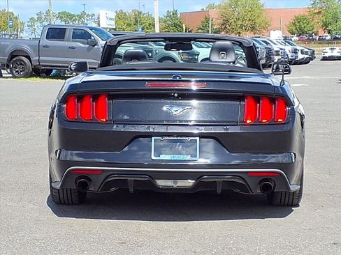 Used 2017 Ford Mustang Premium image 6