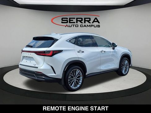Used 2025 Lexus NX 350 AWD w/ Cold Area Package image 3