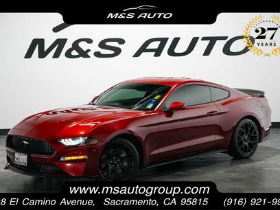 Used 2019 Ford Mustang Premium w/ Ecoboost Performance Package