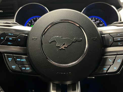 Used 2019 Ford Mustang GT w/ Equipment Group 301A RWD image 15