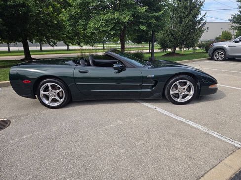 Used 2000 Chevrolet Corvette Convertible w/ Performance Handling Pkg RWD image 5