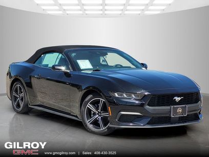 Used 2024 Ford Mustang Premium
