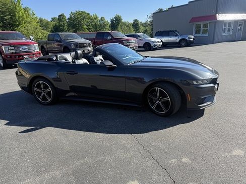 Used 2024 Ford Mustang Premium RWD image 4
