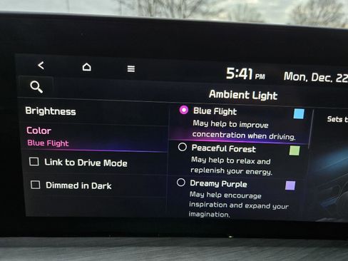 Used 2025 Kia Telluride SX Prestige X-Line image 48