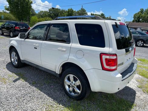 Used 2011 Ford Escape Limited w/ 302A Rapid Spec Order Code image 7