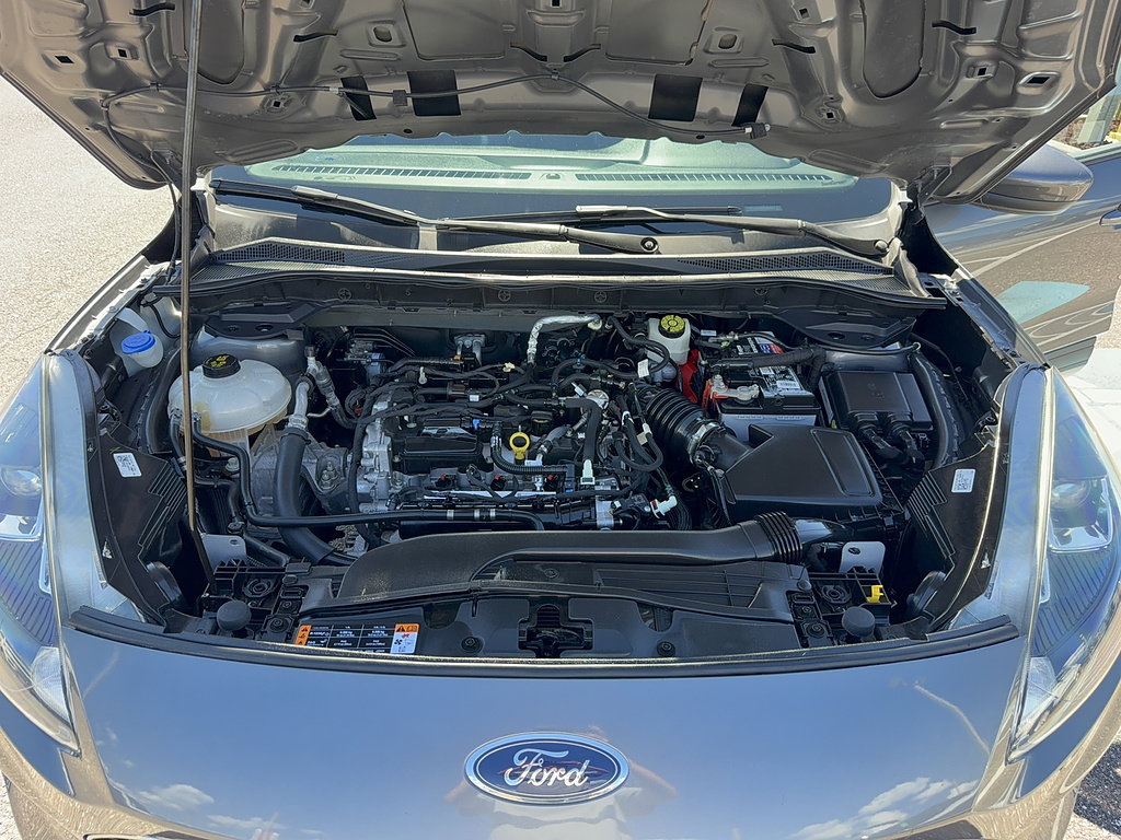 Used 2021 Ford Escape SEL w/ Technology Package FWD image 36