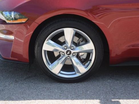 Used 2019 Ford Mustang Premium w/ Equipment Group 201A RWD image 25