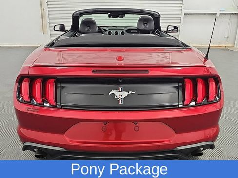 Used 2021 Ford Mustang Premium w/ Equipment Group 201A RWD image 10