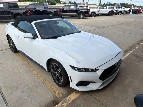 Used 2024 Ford Mustang Premium RWD image 2
