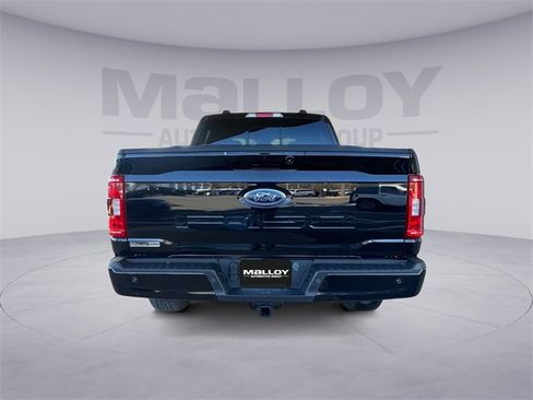Used 2023 Ford F150 XLT w/ Equipment Group 302A High image 4