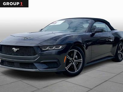 Used 2024 Ford Mustang Premium