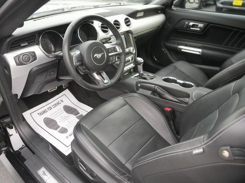 Used 2017 Ford Mustang Premium w/ Wheel & Stripe Package image 8