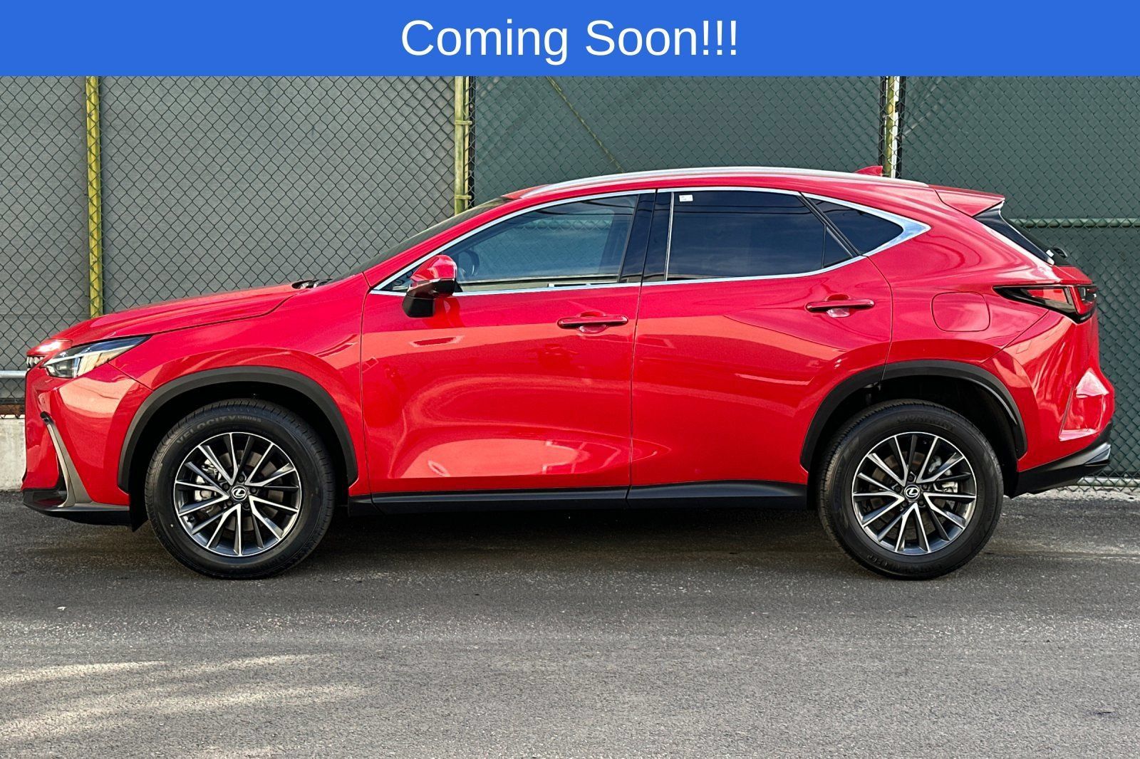 Used 2024 Lexus NX 350 AWD w/ Vision Package image 7