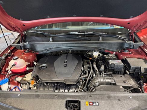 Used 2024 Kia Sportage X-Line image 27