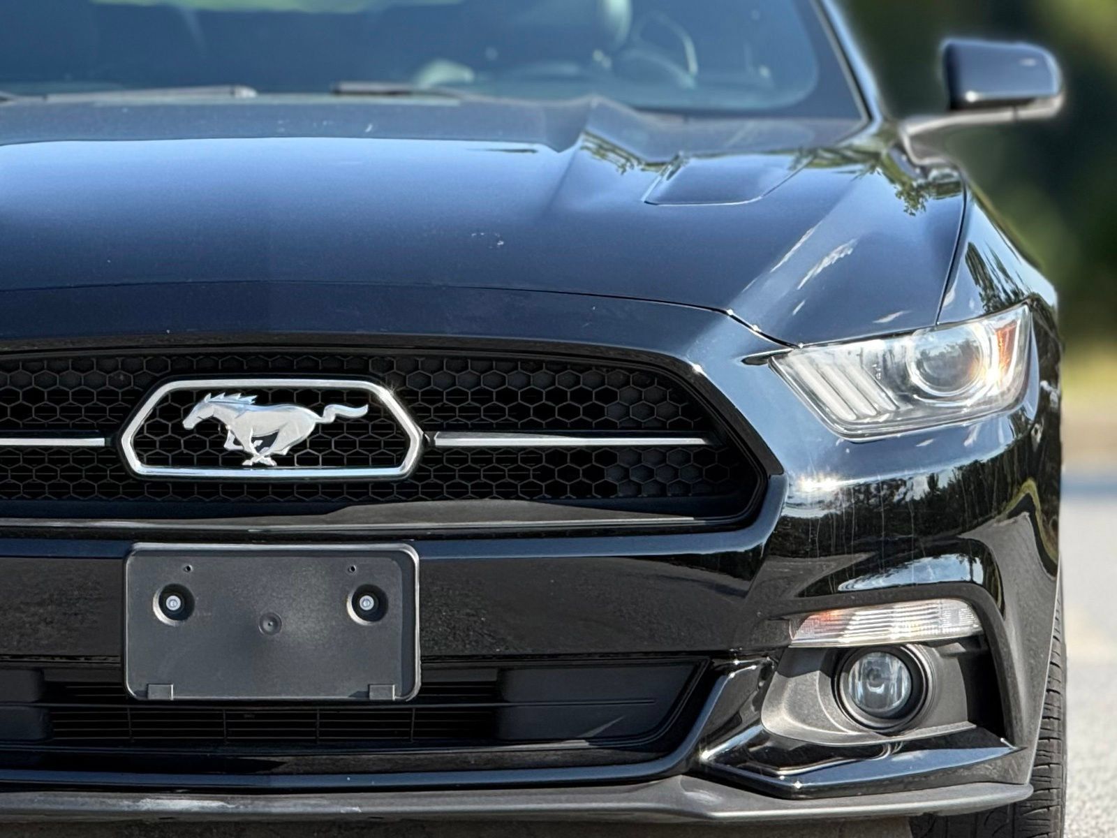 Used 2015 Ford Mustang GT Premium w/ Equipment Group 401A RWD image 15