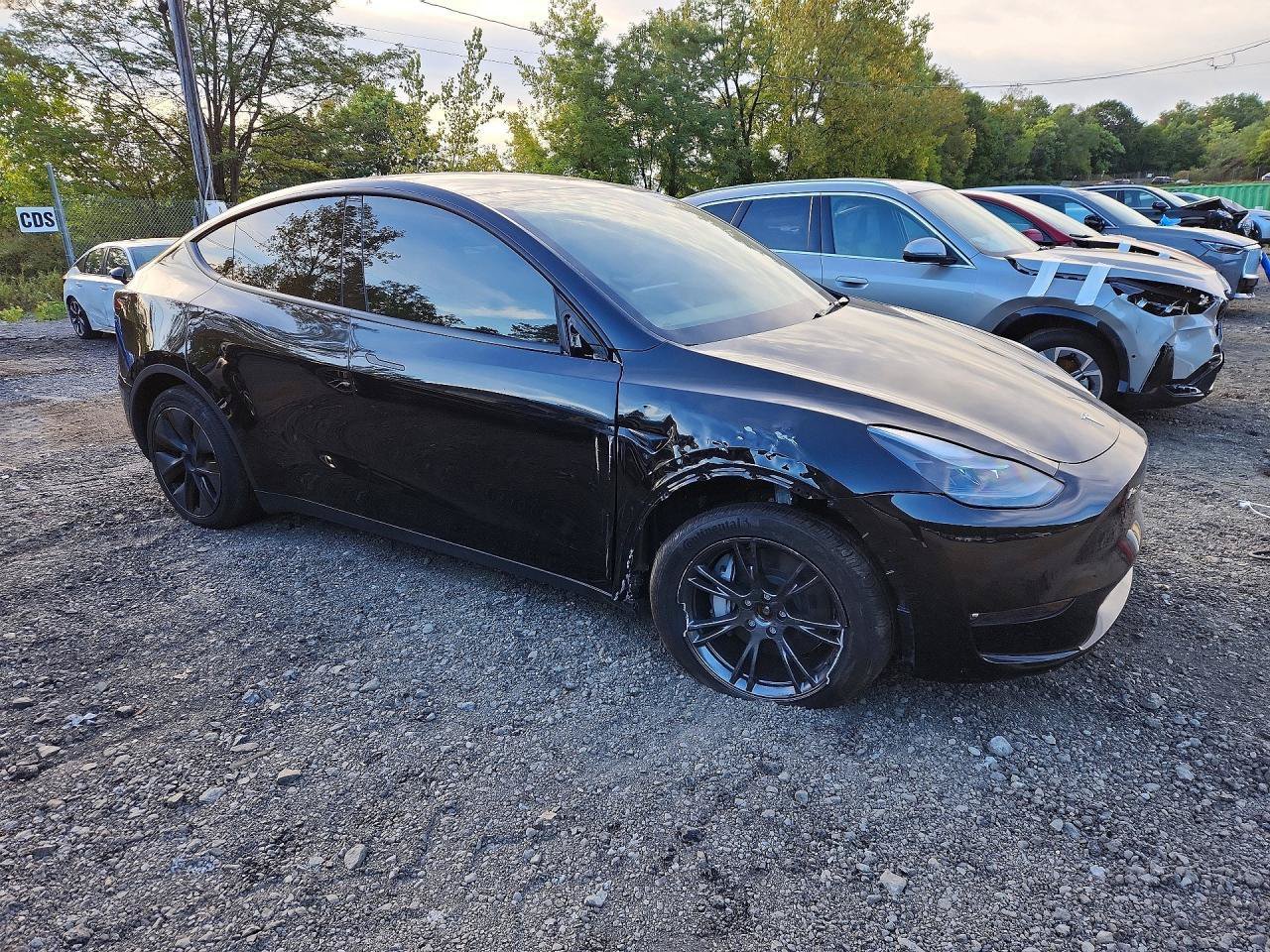 Used 2025 Tesla Model Y Long Range AWD/4WD image 1