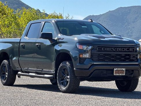 New 2025 Chevrolet Silverado 1500 Custom Trail Boss w/ Dark Appearance Package image 2