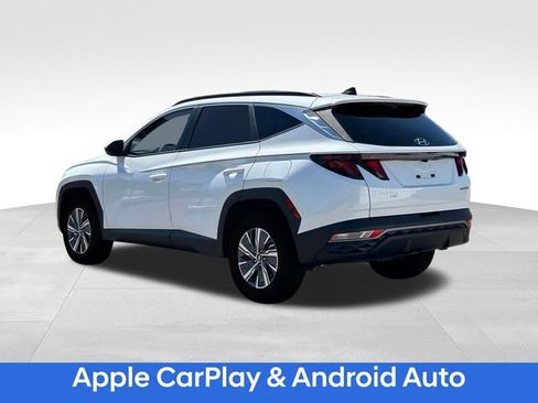 New 2024 Hyundai Tucson Blue image 6