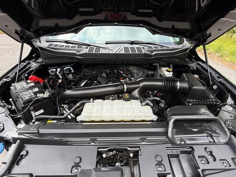 Used 2025 Ford F150 XLT w/ Equipment Group 301A Standard AWD/4WD image 10