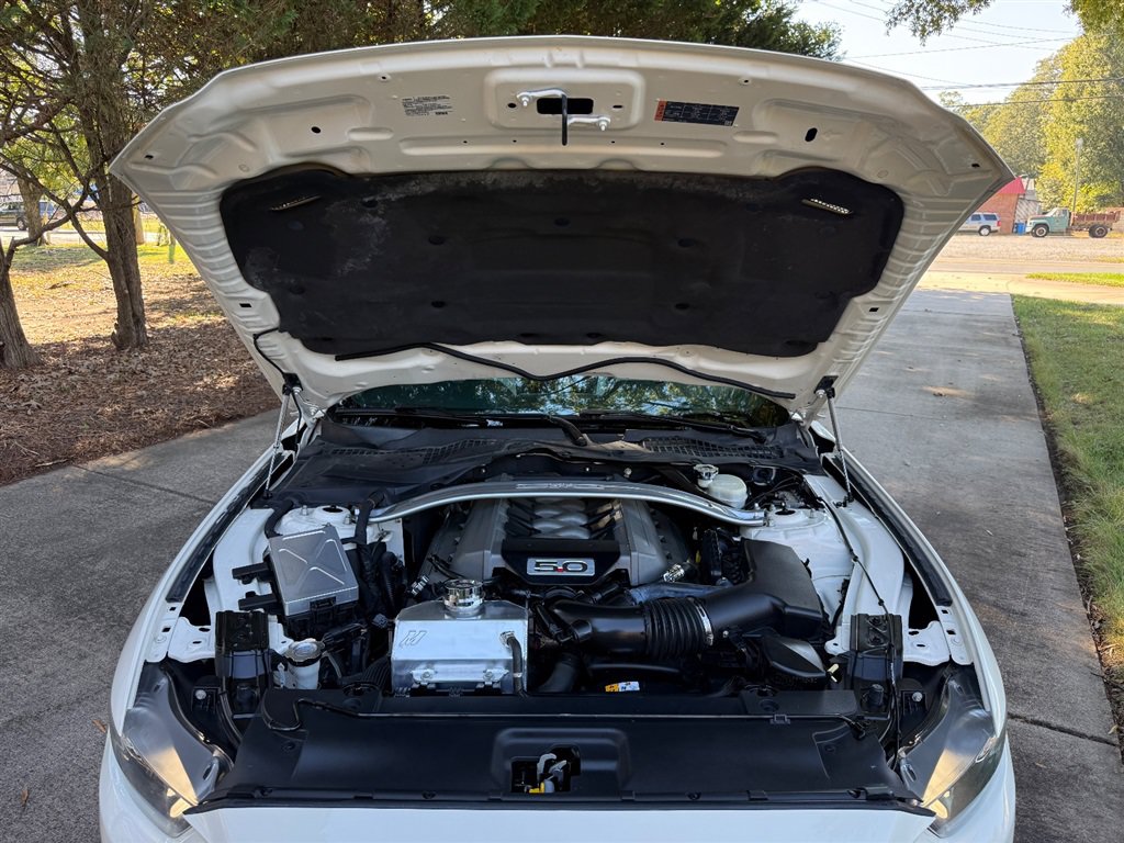 Used 2015 Ford Mustang 50 Years RWD image 66