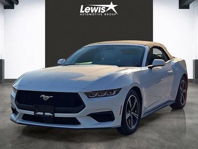 Used 2024 Ford Mustang Premium