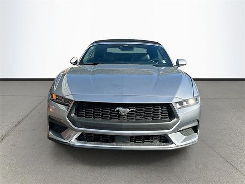 Used 2024 Ford Mustang Premium image 2