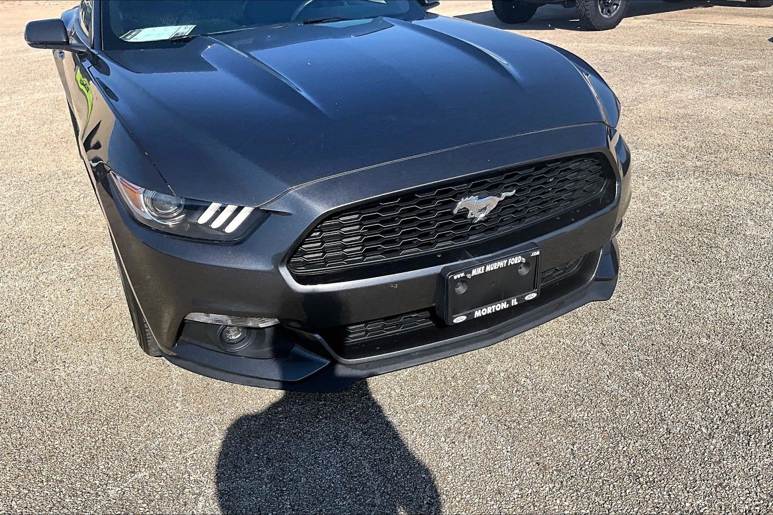 Used 2015 Ford Mustang Premium RWD image 4