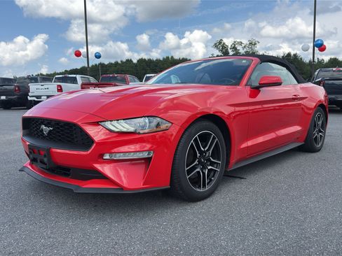 Used 2019 Ford Mustang Premium RWD image 10
