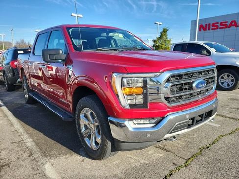 Used 2021 Ford F150 XLT w/ Equipment Group 302A High image 1