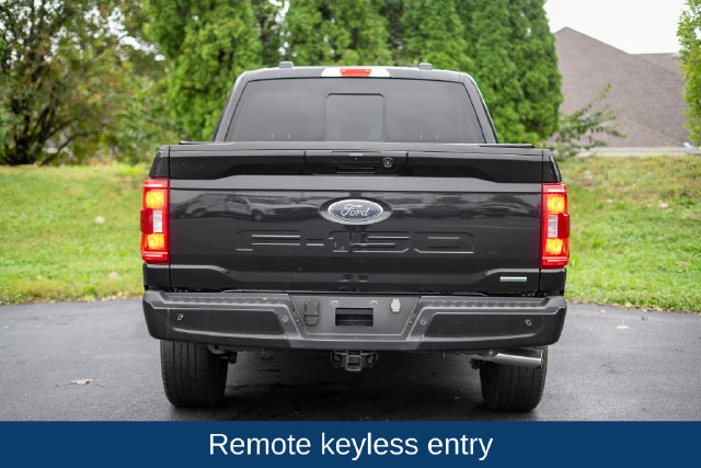 Used 2023 Ford F150 XLT w/ Equipment Group 302A High AWD/4WD image 6