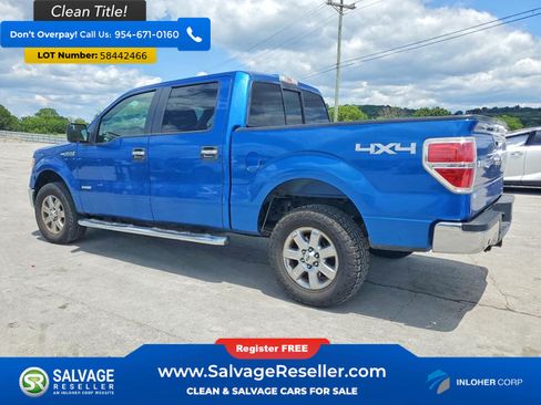 Used 2014 Ford F150 XLT w/ Equipment Group 302A Luxury AWD/4WD image 3