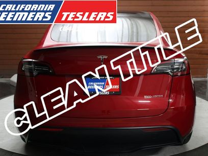 Used 2023 Tesla Model Y Performance