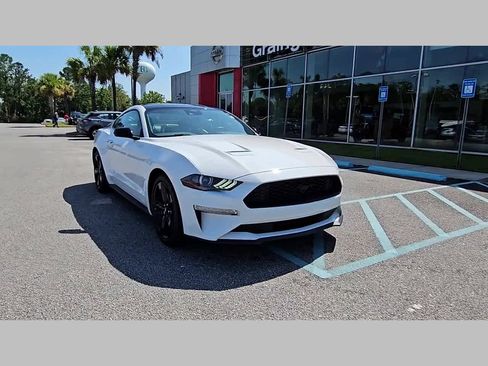 Used 2023 Ford Mustang Premium w/ Mustang Nite Pony Package image 16