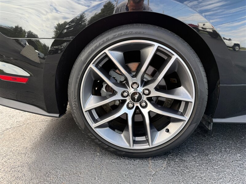 Used 2015 Ford Mustang GT Premium w/ Equipment Group 401A RWD image 24