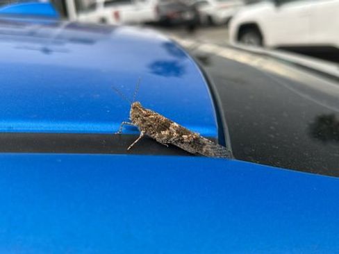 Used 2025 Nissan Sentra SV image 25