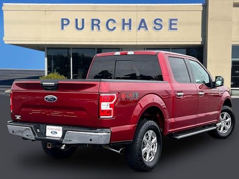 Used 2019 Ford F150 XLT w/ Equipment Group 302A Luxury AWD/4WD image 6