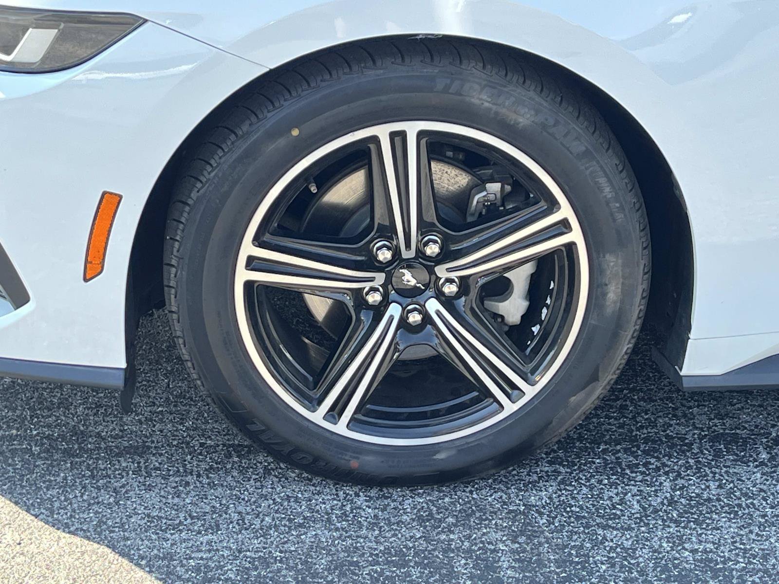 Used 2024 Ford Mustang Premium RWD image 12