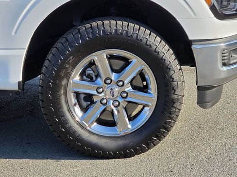 Used 2025 Ford F150 XLT w/ Equipment Group 301A Standard AWD/4WD image 8
