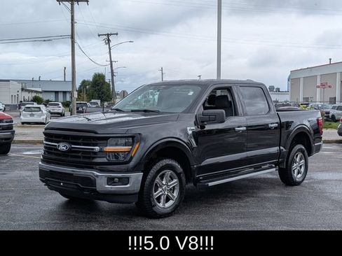 Used 2025 Ford F150 XLT w/ Equipment Group 301A Standard AWD/4WD image 4