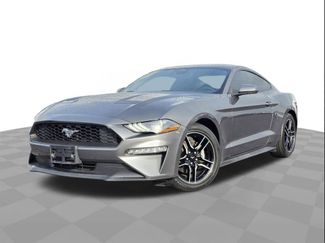 Used 2023 Ford Mustang Coupe w/ Equipment Group 101A video 1
