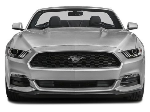 Used 2017 Ford Mustang Premium w/ Equipment Group 201A RWD image 4