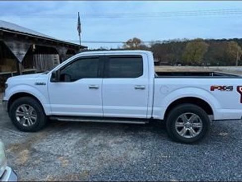 Used 2019 Ford F150 XLT w/ Equipment Group 302A Luxury AWD/4WD image 3