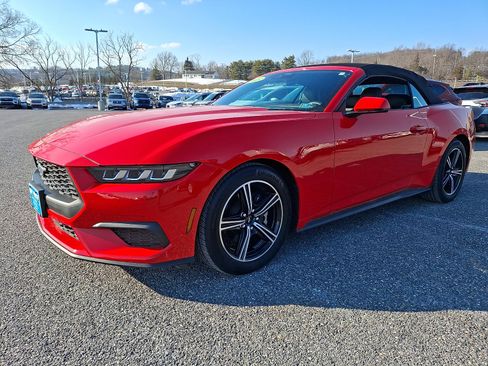 Certified 2025 Ford Mustang Premium image 3