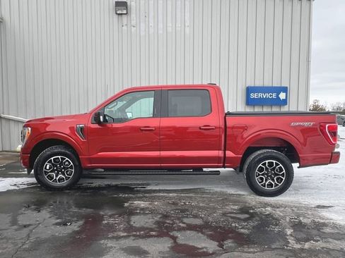 Used 2023 Ford F150 XLT w/ Equipment Group 302A High image 5