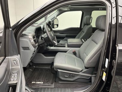 New 2025 Ford F150 XLT w/ Equipment Group 303A High