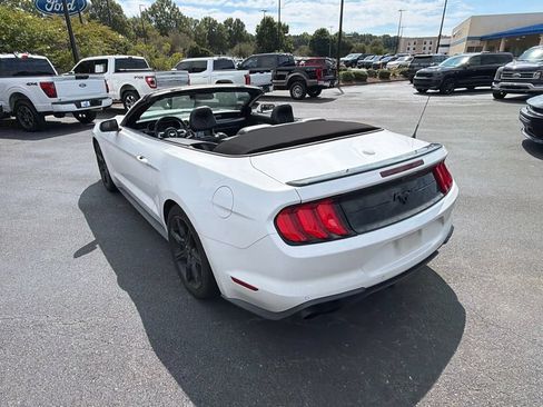 Used 2019 Ford Mustang Premium w/ Equipment Group 201A RWD image 15